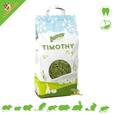 Bunny Nature Niemiecki Timothy Hooi