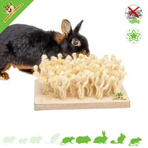 Sniffing board with Sisal rope 24 cm