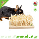 Bunny Nature Sniffing Board with Sisal Rope for Rodents & Rabbits!