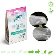 Health Gastro Balance 200 gram