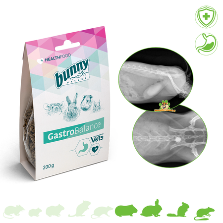 Bunny Nature Health Gastro Balance 200 gram voor Knaagdieren & Konijnen!