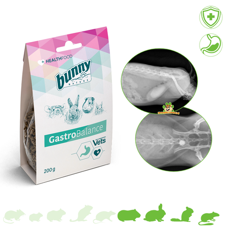 Bunny Nature Health Gastro Balance 200 gramos para Roedores y Conejos!