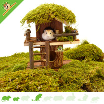 Hamster house tree house 20 cm