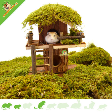 Cabane dans les arbres pour hamsters 20 cm pour rongeurs !