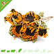 Knaagdier Kruidenier Dried Sunflower Harvest for Hamscaping
