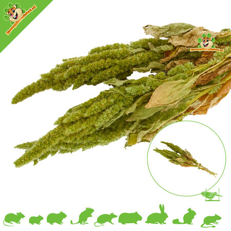 Knaagdier Kruidenier Amaranth Harvest Green für Nagetiere und Vögel