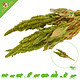 Knaagdier Kruidenier Amaranth Harvest Green for rodents & birds