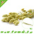 Knaagdier Kruidenier Canary Seed Harvest