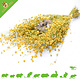 Knaagdier Kruidenier Cosecha de linaza para roedores y aves