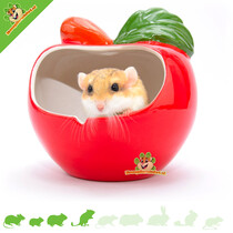Maison de pomme en céramique grande taille 14 cm