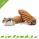 Elmato Pine cone 2 pieces for Rodents & Rabbits!