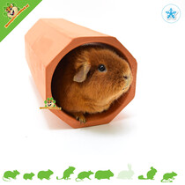 Túnel para roedores de terracota redondo 34 cm