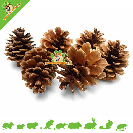 Elmato Pine cone 6 pieces for Rodents & Rabbits!