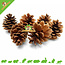 Elmato Pinecone 6 pieces for Rodents & Rabbits