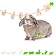 Elmato Gnawing Rope with Gnawing Discs for Rodents & Rabbits!