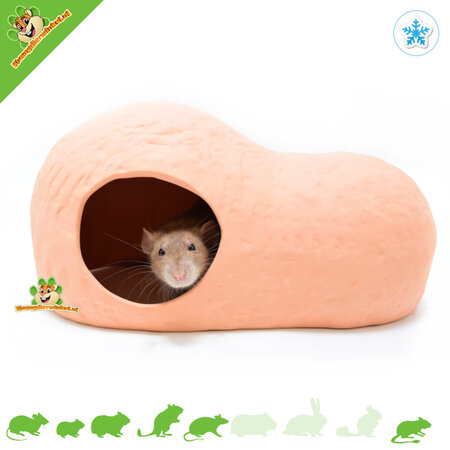 Elmato Terracotta House XL for Rodents!