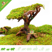 Bonsái para roedores de Hamsterscaping, 22 cm