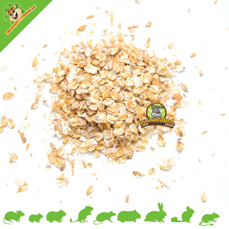 Knaagdier Kruidenier Barley flakes for rodents & rabbits