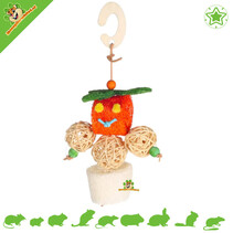 Jack Pumpkin Spielzeug