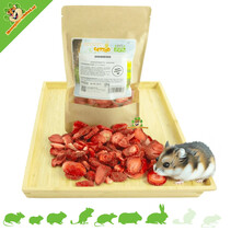 Suszone truskawki 25 gramów