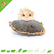Getzoo Cabezas de girasol secas, 3 unidades