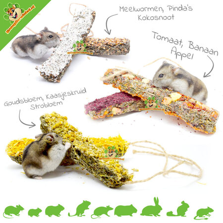 Ham-Stake Spécialistes Nature Stick