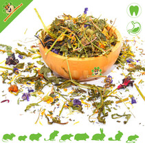 Flower & Herb Mix for Chinchilla & Degu