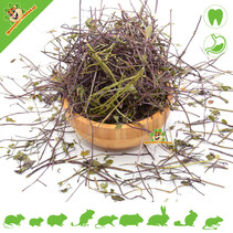 Mint stalks 100 grams