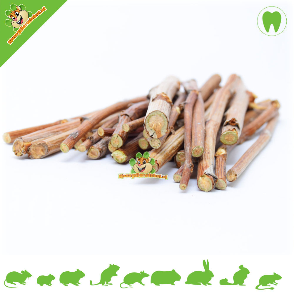 Raspberry stems for rodents and rabbits DRD Knaagdierwinkel® Rodentshop Raspberry stems for rodents and rabbits DRD Knaagdierwinkel® Rodentshop