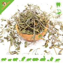 Dried Sage Herb