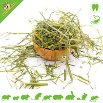 Oats & Barley Grass 100 grams