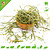 Knaagdier Kruidenier Avoine et herbe d'orge 100 grammes