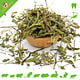 Knaagdier Kruidenier Dried Burdock Root