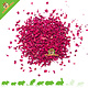 Knaagdier Kruidenier Dried Beetroot