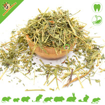 Dried Lucerne (Alfalfa)