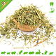 Knaagdier Kruidenier Dried Lucerne (Alfalfa)