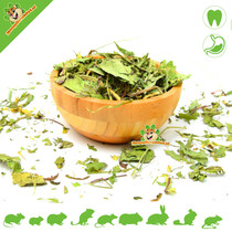 Dried Narrow-leaved Plantain