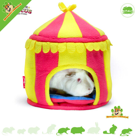 HayPigs ¡Carpa de circo de 25 cm para roedores y conejos!