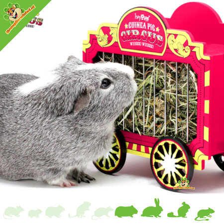 HayPigs ¡Carro de heno de circo para roedores y conejos!