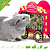 HayPigs Chariot de foin de cirque 23 cm