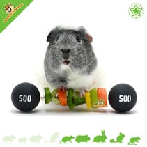 Circus Guinea Pig Veggie Dumbbell 22 cm