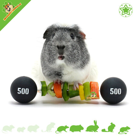 HayPigs Circus Guinea Pig Veggie Halter 22 cm for Rodents & Rabbits!