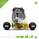 HayPigs Circus Cavia Veggie Halter 22 cm voor Knaagdieren & Konijnen!