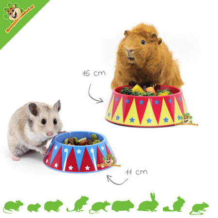 HayPigs ¡Cuenco de comida Circus para roedores y conejos!