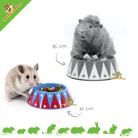 HayPigs Circus Food Bowl for Rodents & Rabbits!