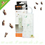 Pheromone trap Feeding moth Moth trap