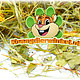 Dried Chickweed Herb for Rodents & Rabbits!