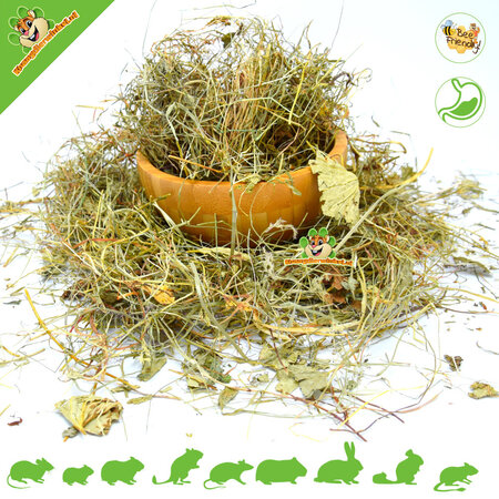 Dried Chickweed Herb for Rodents & Rabbits!