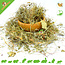 Dried Chickweed Herb for Rodents and Rabbits 50 grams