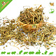 Dried Violet Herb for Rodents & Rabbits!